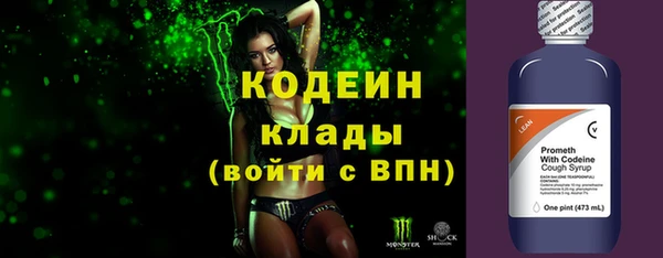 ГАЛЛЮЦИНОГЕННЫЕ ГРИБЫ Кулебаки