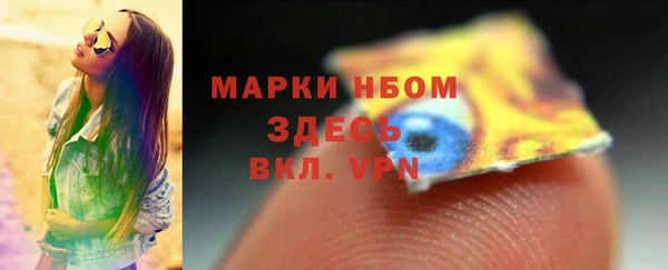 ГАЛЛЮЦИНОГЕННЫЕ ГРИБЫ Кулебаки