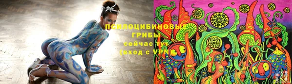 крисы Куйбышев