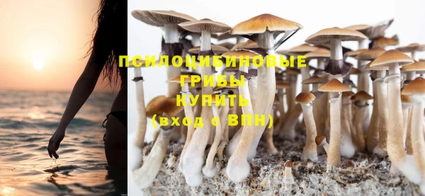 крисы Куйбышев