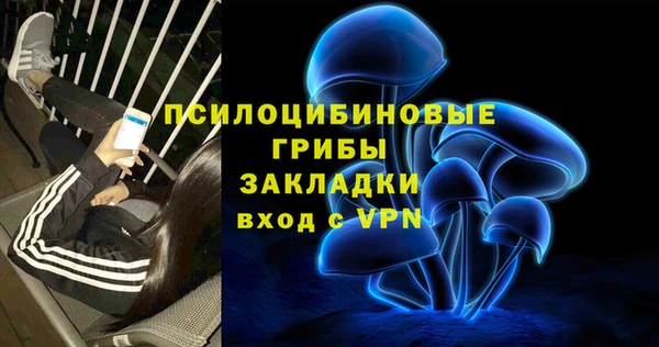 ГАЛЛЮЦИНОГЕННЫЕ ГРИБЫ Кулебаки