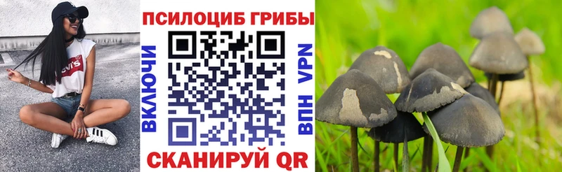 Галлюциногенные грибы ЛСД  Купить закладки  Яхрома 